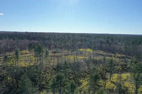 Tbd N Larsen Road Lenroot Twp WI 54843