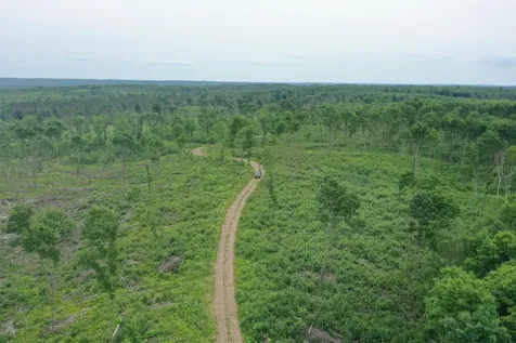 Tbd N Larsen Road Lenroot Twp WI 54843
