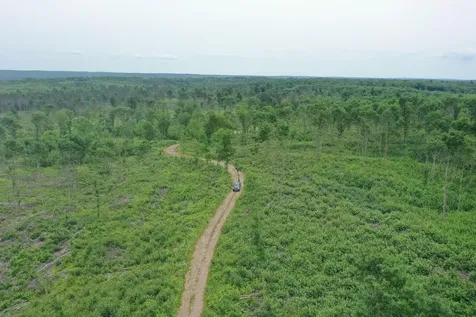 Tbd N Larsen Road Lenroot Twp WI 54843