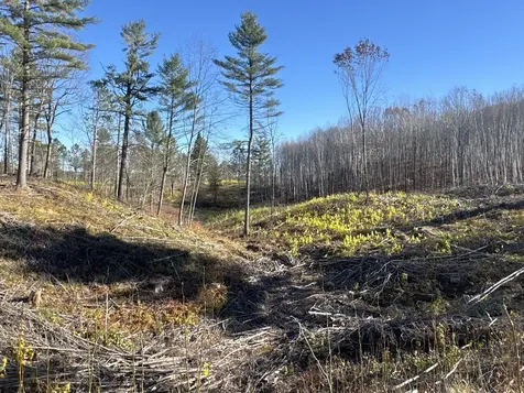 Tbd N Larsen Road Lenroot Twp WI 54843