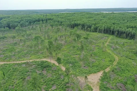 Tbd N Larsen Road Lenroot Twp WI 54843