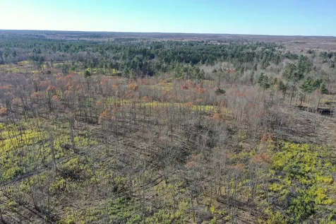 Tbd N Larsen Road Lenroot Twp WI 54843