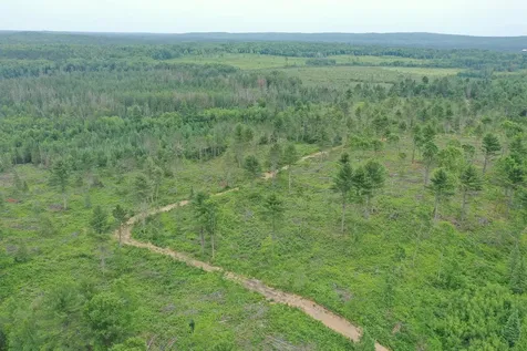 Tbd N Larsen Road Lenroot Twp WI 54843