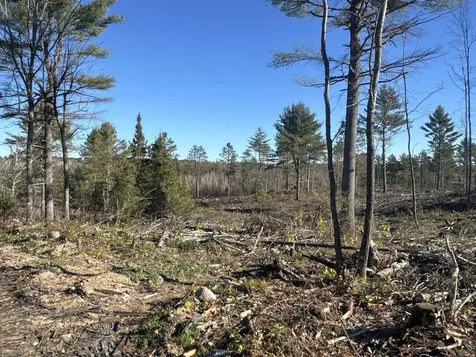 Tbd N Larsen Road Lenroot Twp WI 54843