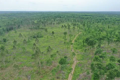 Tbd N Larsen Road Lenroot Twp WI 54843