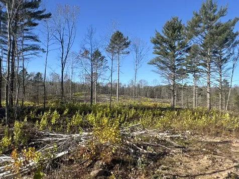Tbd N Larsen Road Lenroot Twp WI 54843