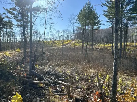 Tbd N Larsen Road Lenroot Twp WI 54843
