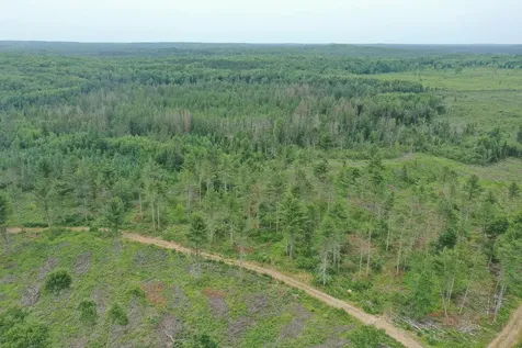 Tbd N Larsen Road Lenroot Twp WI 54843