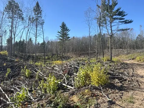 Tbd N Larsen Road Lenroot Twp WI 54843