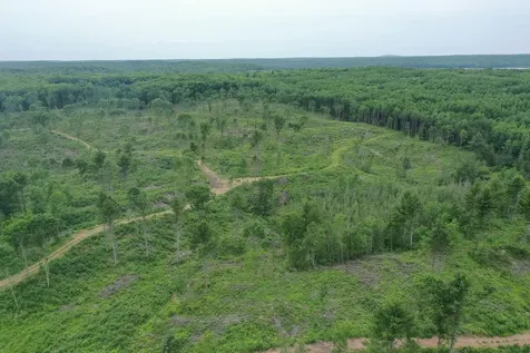 Tbd N Larsen Road Lenroot Twp WI 54843