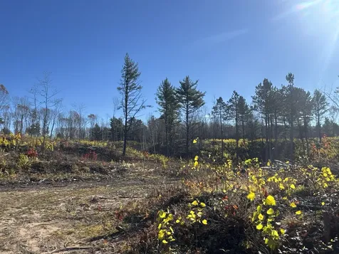 Tbd N Larsen Road Lenroot Twp WI 54843