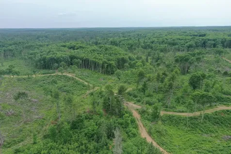 Tbd N Larsen Road Lenroot Twp WI 54843