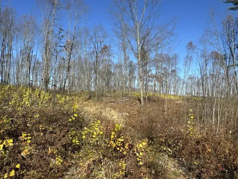 Tbd N Larsen Road Lenroot Twp WI 54843