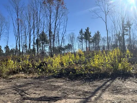 Tbd N Larsen Road Lenroot Twp WI 54843