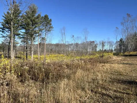 Tbd N Larsen Road Lenroot Twp WI 54843