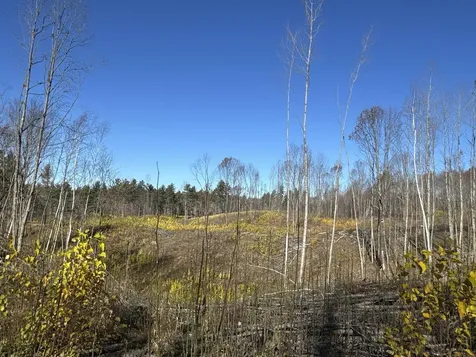 Tbd N Larsen Road Lenroot Twp WI 54843