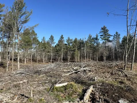 Tbd N Larsen Road Lenroot Twp WI 54843