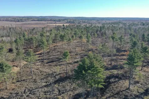 Tbd N Larsen Road Lenroot Twp WI 54843