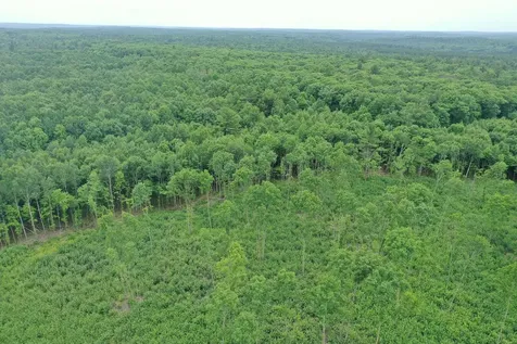 Tbd N Larsen Road Lenroot Twp WI 54843