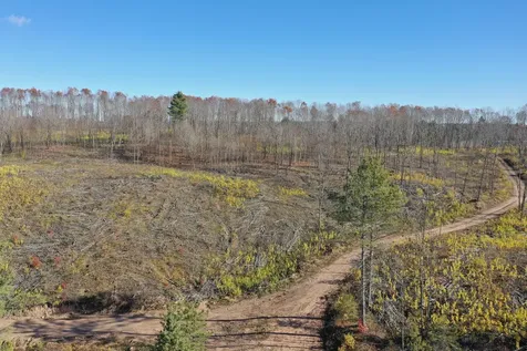 Tbd N Larsen Road Lenroot Twp WI 54843