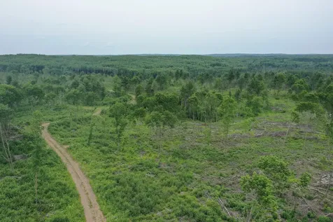 Tbd N Larsen Road Lenroot Twp WI 54843