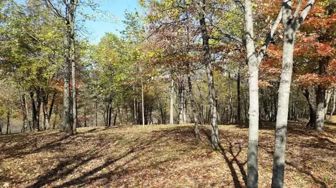 893 White Clover Beach Road Detroit Lakes MN 56501
