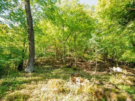 4350 River Road S Afton MN 55001