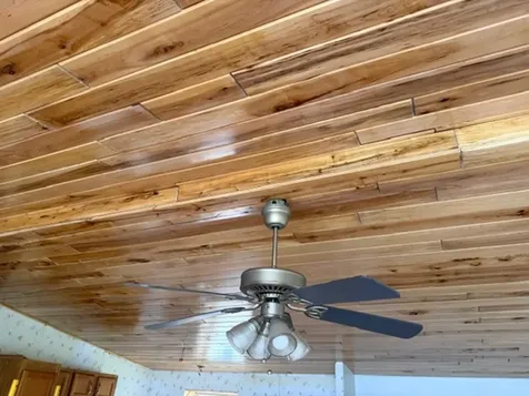 33100 Saint Olaf Way Battle Lake MN 56515