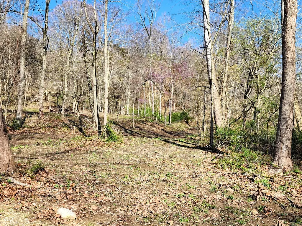 0 Goat Hollow Estates Lot 4 Martinsville IN 46151