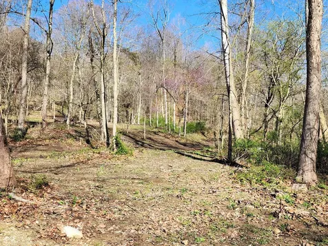 0 Goat Hollow Estates Lot 4 Martinsville IN 46151