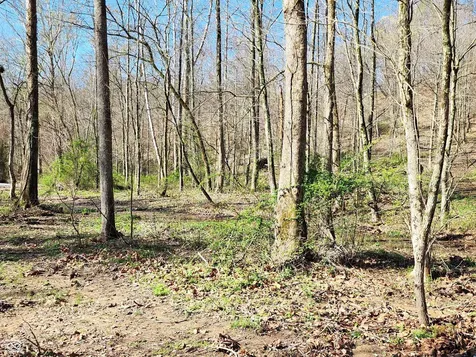 0 Goat Hollow Estates Lot 4 Martinsville IN 46151