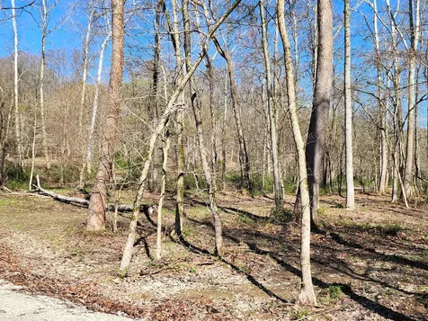0 Goat Hollow Estates Lot 4 Martinsville IN 46151