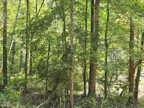 0 Goat Hollow Estates Lot 6 Martinsville IN 46151