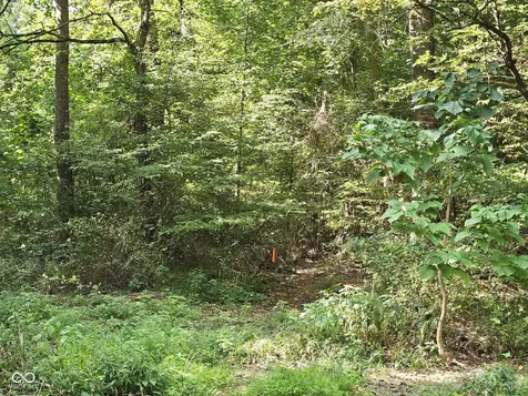 0 Goat Hollow Estates Lot 6 Martinsville IN 46151