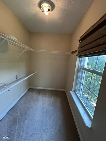 8268 Jo Ellen Drive Fishers IN 46038