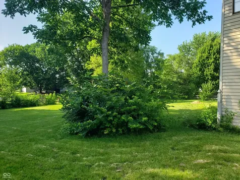 8768 Buckhaven Indianapolis IN 46256
