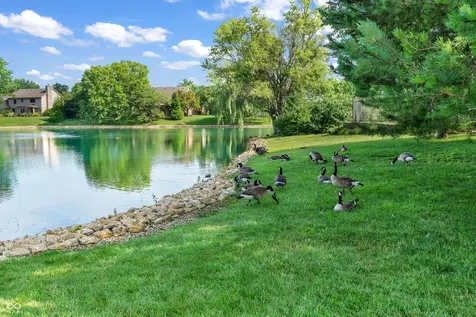 356 Southcreek Drive S Indianapolis IN 46217