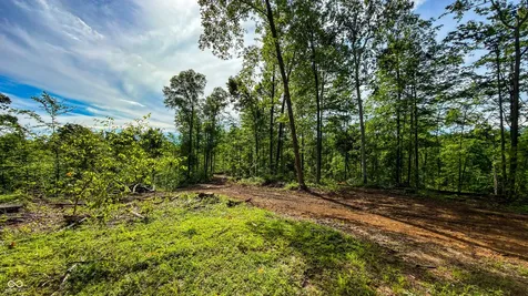 3 Beech Tree Road Nineveh IN 46164