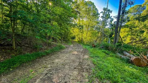 1 Beech Tree Road Nineveh IN 46164