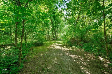 544 Amos Drive Zionsville IN 46077