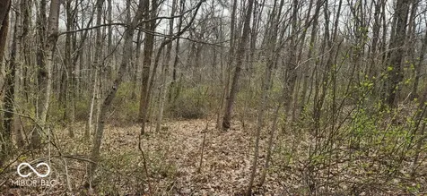 0 Braysville Road Spencer IN 47460
