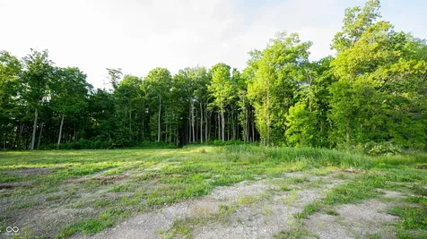910 S 800 E Zionsville IN 46077
