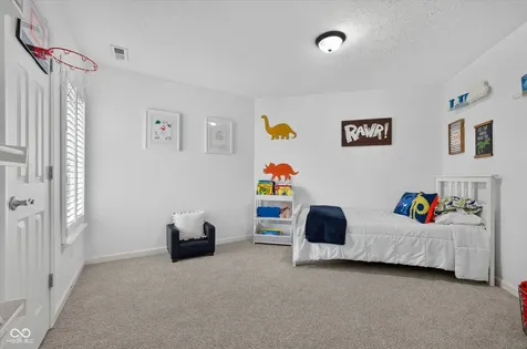 11133 Lexi Lane Fishers IN 46040