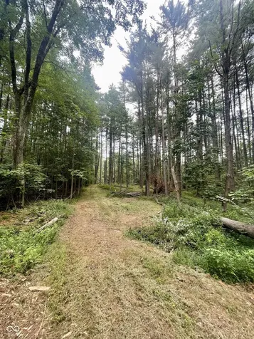7288 Becks Grove Road Freetown IN 47235