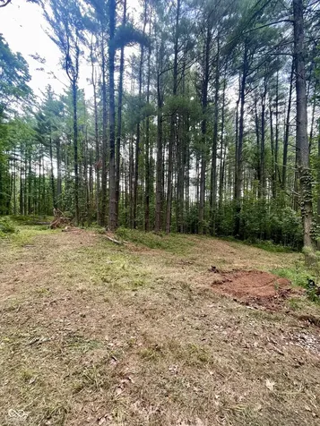 7288 Becks Grove Road Freetown IN 47235