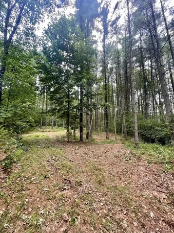 7288 Becks Grove Road Freetown IN 47235