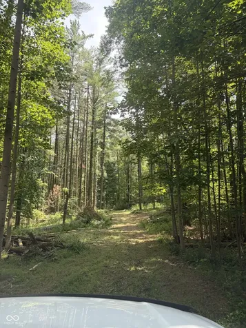 7288 Becks Grove Road Freetown IN 47235