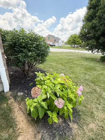 2225 Silver Rose Drive Avon IN 46123