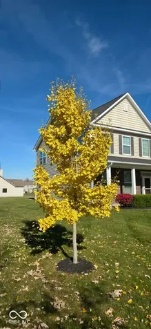 11888 Logan Hunter Trail Noblesville IN 46060