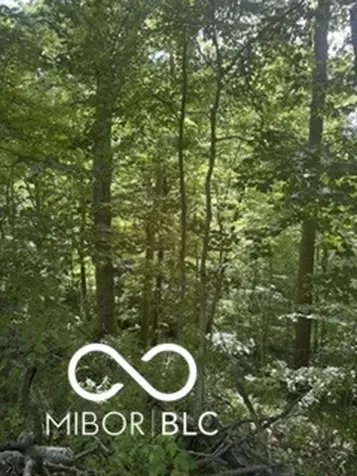 0 W Allen Road Covington IN 47932